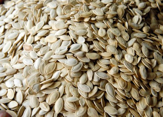 Çiğ Kabak Çekirdeği Kullanımı ve Faydaları Nelerdir?